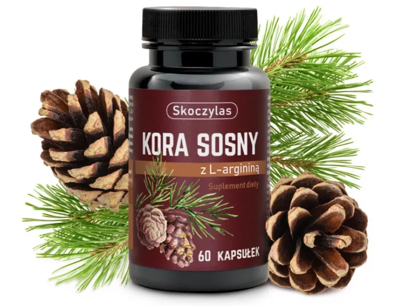 54-kora-sosny-owoc-min