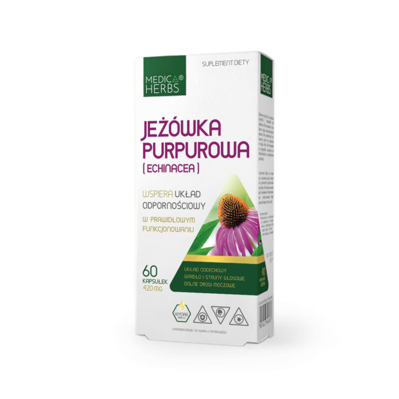 Jeżówka-purpurowa-przód