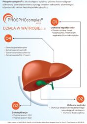 liver-regeneration-complex-regeneracja-watroby-sylimaryna-karczoch-ostropest-berberyna-90-kaps-aliness