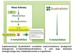 prenacare-complete-dla-kobiet-w-ciazy-i-karmiacych-piersia-60-kaps-aliness