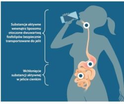liposomalna-witamina-c-1000-buforowana-250-ml-liposol