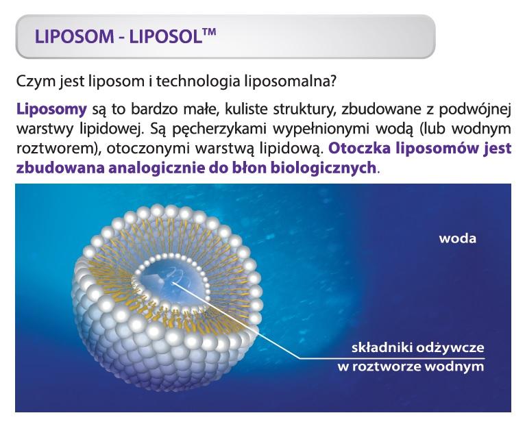liposom_grafika