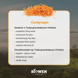 cordyceps-biowen