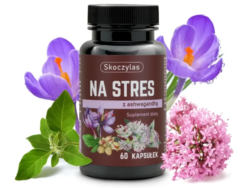 na stres skoczylas ashwagandha witanoidy safranol waleriana