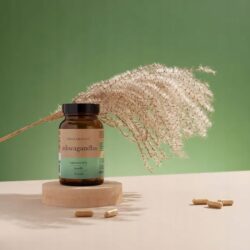 ashwagandha-primabiotic-1